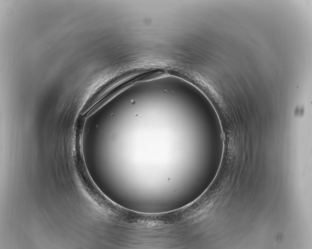 X0000094220582200711021141