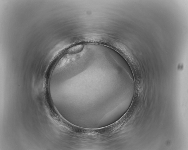 X0000094220583200711021141