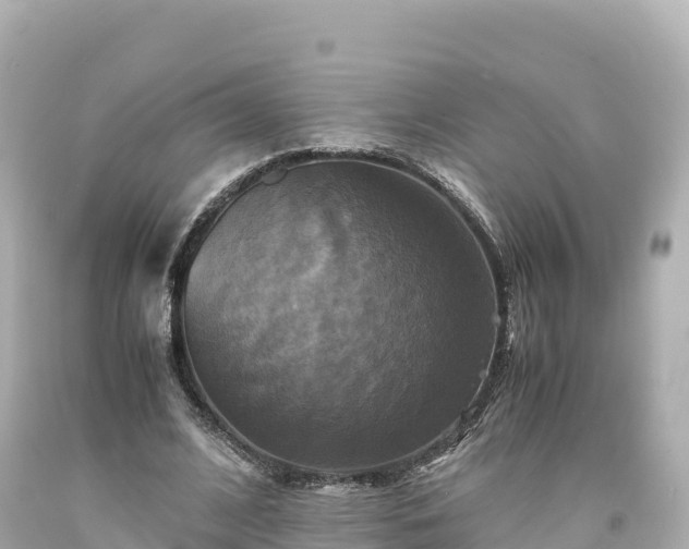 X0000094220584200711021141