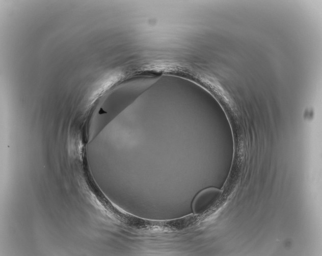 X0000094220585200711021141