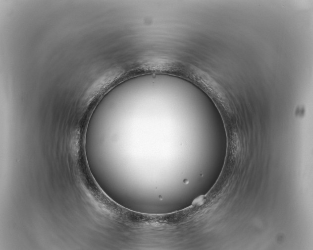 X0000094220586200711021141