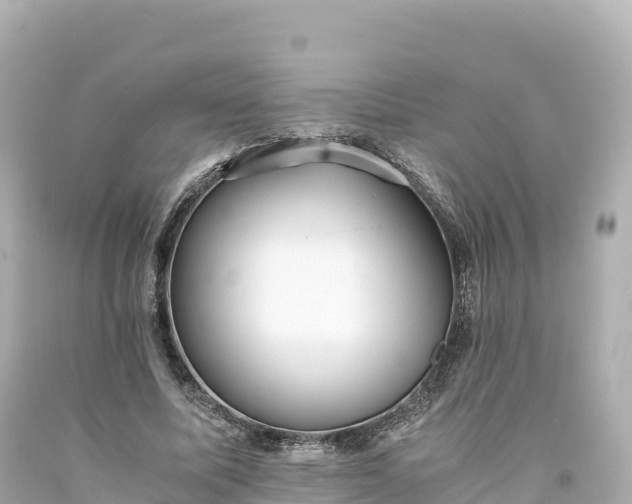 X0000094220587200711021141