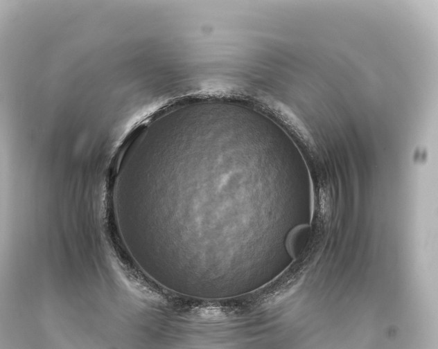 X0000094220588200711021141