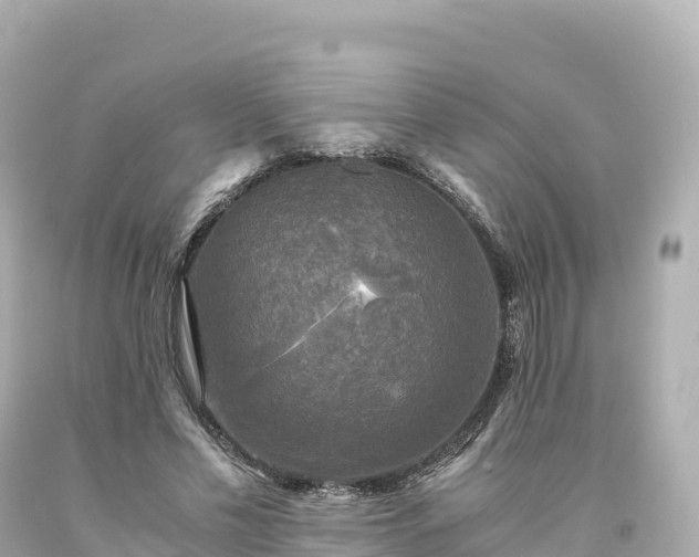 X0000094220589200711021141