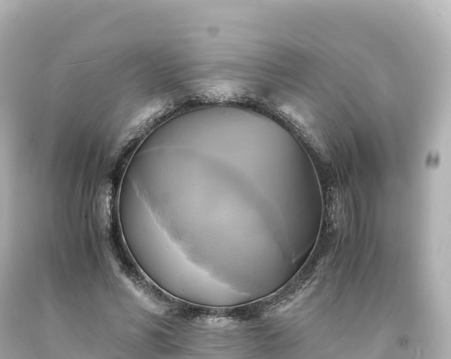 X0000094220590200711021141