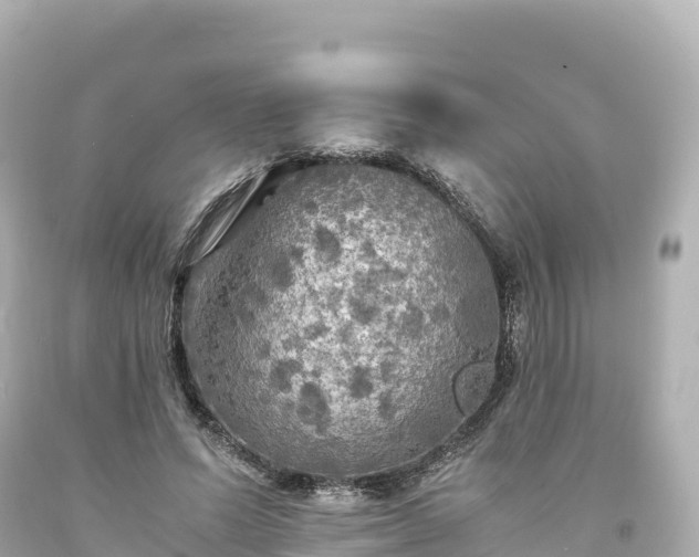 X0000094220591200711021141