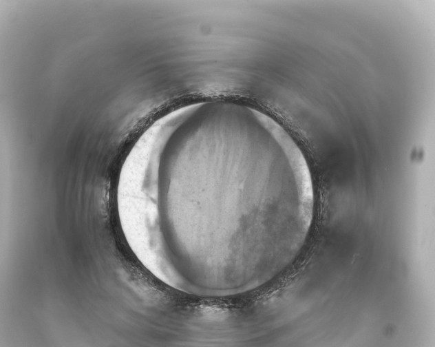 X0000094220592200711021141