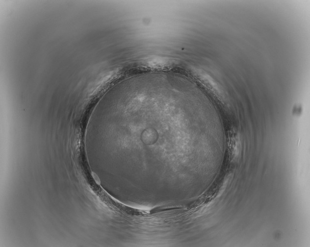 X0000094220593200711021141