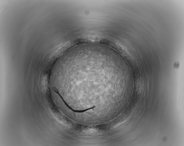 X0000094220594200711021141