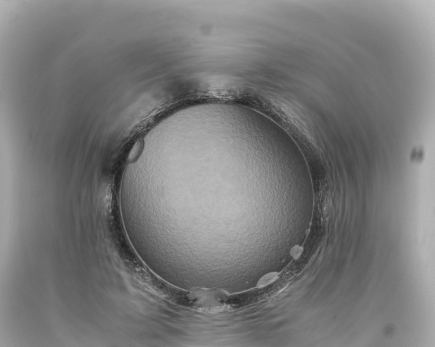 X0000094220595200711021141