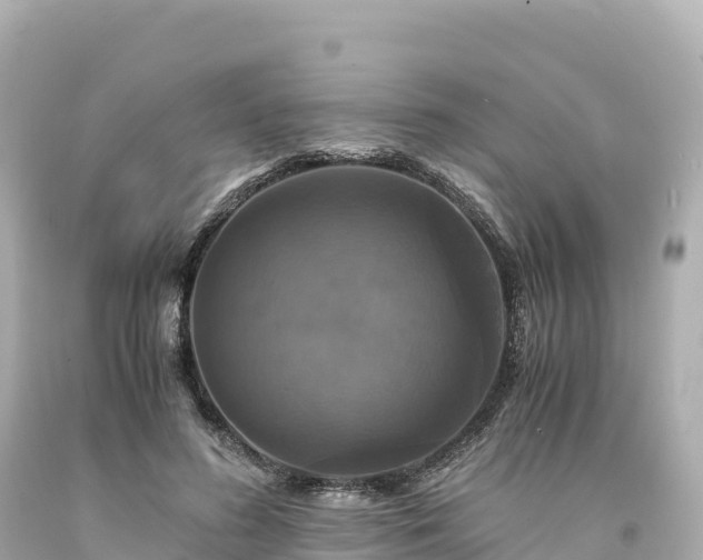 X0000094220596200711021141