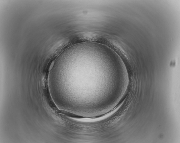 X0000094220597200711021141