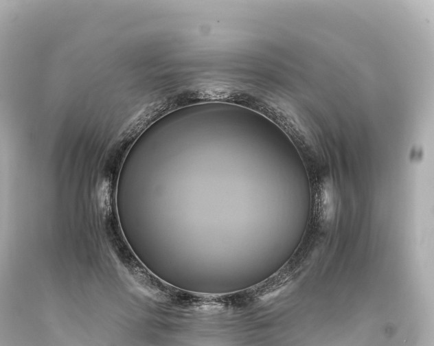 X0000094220598200711021141