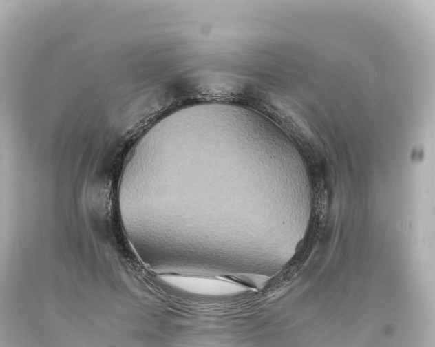 X0000094220599200711021141