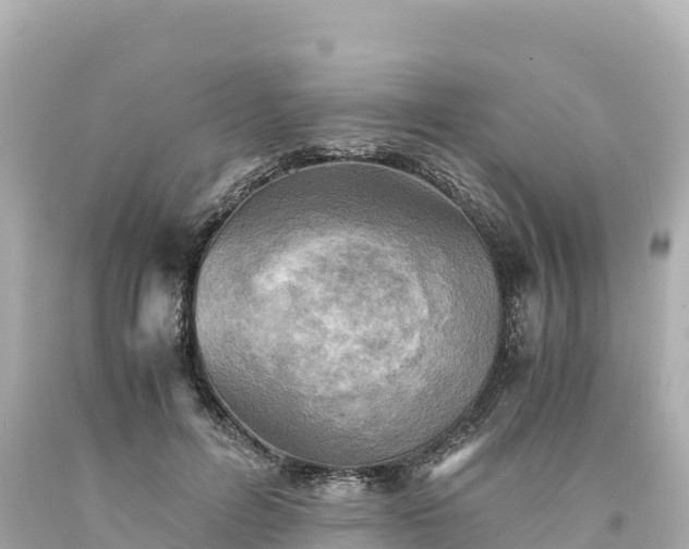 X0000094220600200711021141