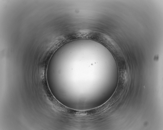 X0000094220602200711021141