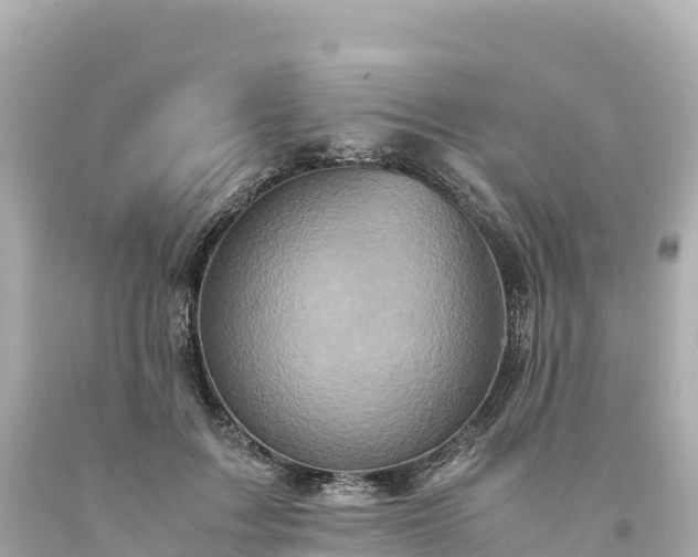 X0000094220603200711021141