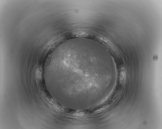 X0000094220604200711021141