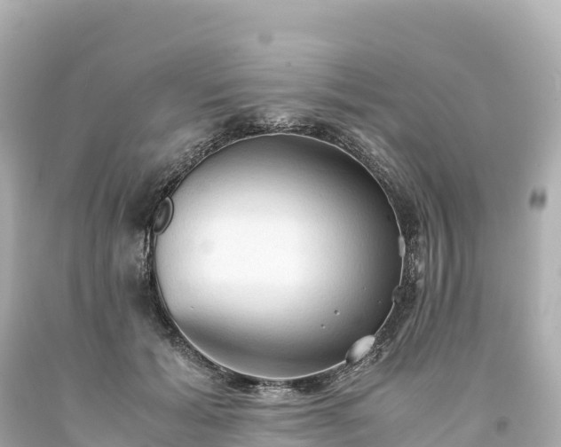 X0000094220605200711021141