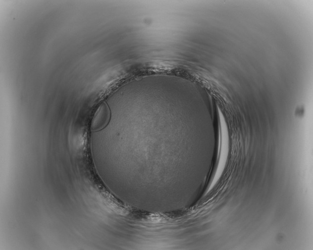 X0000094220608200711021141