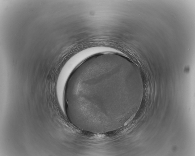 X0000094220609200711021141