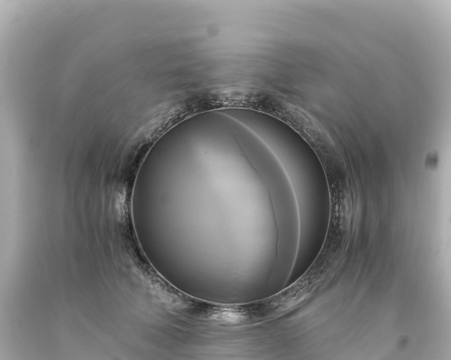 X0000094220610200711021141