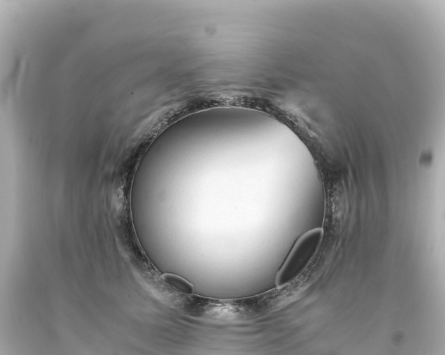 X0000094220611200711021141