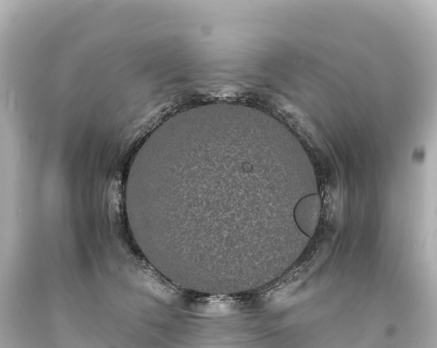 X0000094220612200711021141