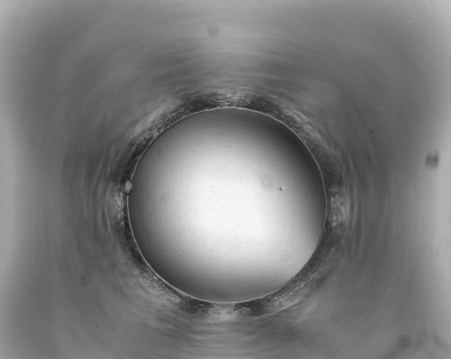 X0000094220613200711021141