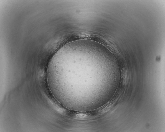 X0000094220614200711021141