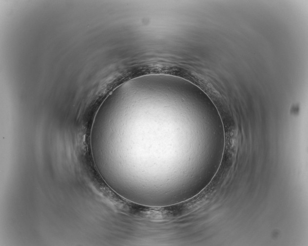 X0000094220615200711021141