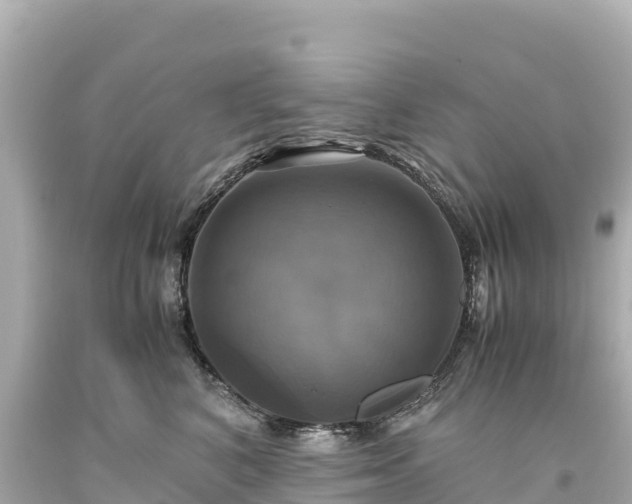 X0000094220616200711021141