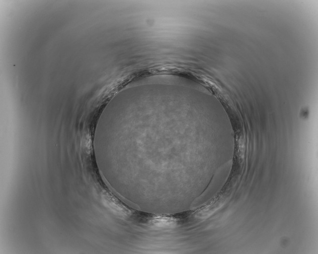 X0000094220617200711021140