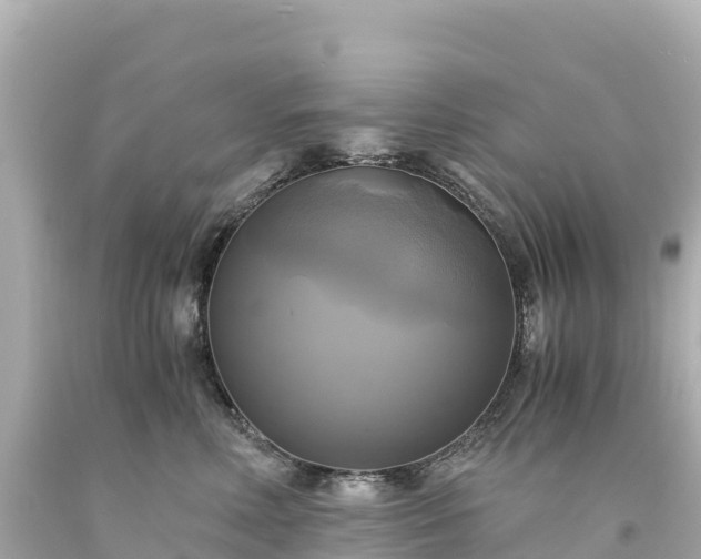 X0000094220618200711021140