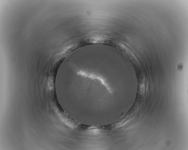 X0000094220620200711021140