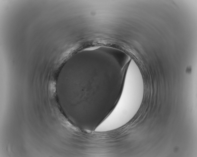 X0000094220621200711021140