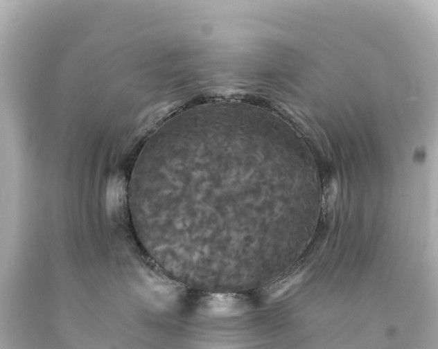 X0000094220623200711021140