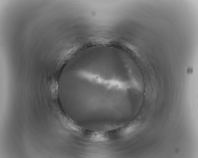 X0000094220624200711021140