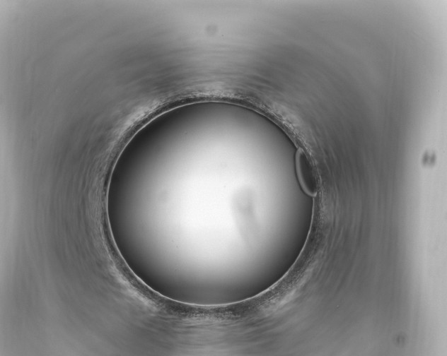 X0000094220625200711021140