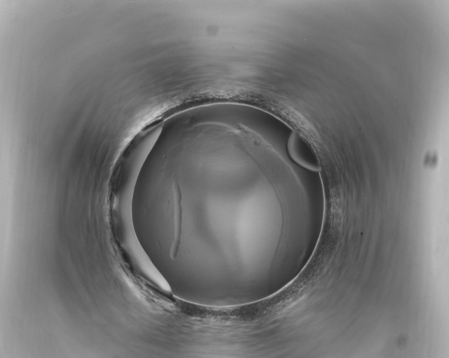 X0000094220626200711021140