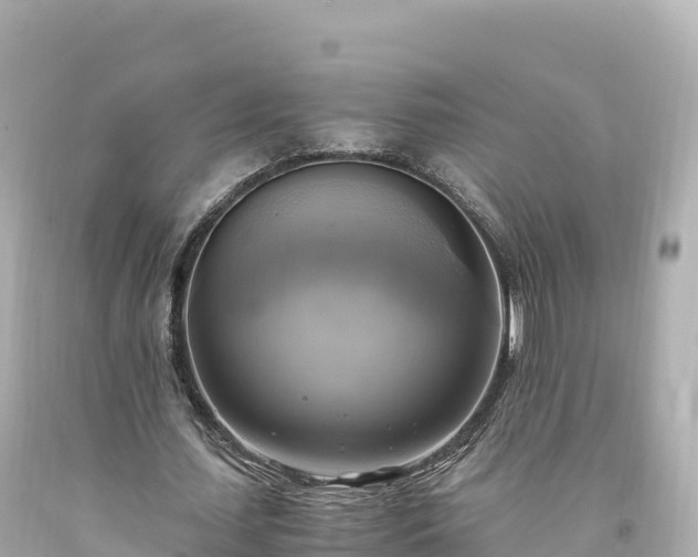 X0000094220627200711021140