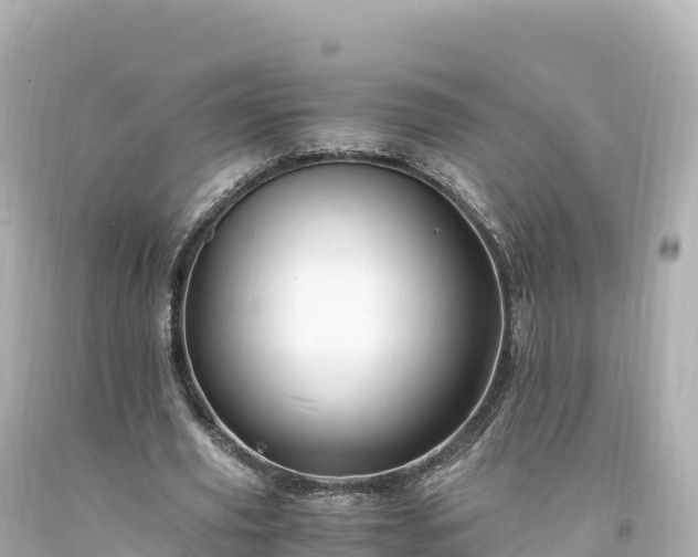 X0000094220629200711021140