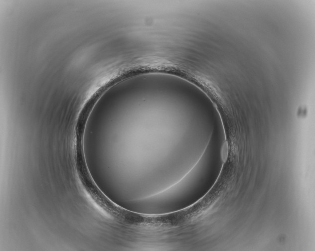 X0000094220630200711021140