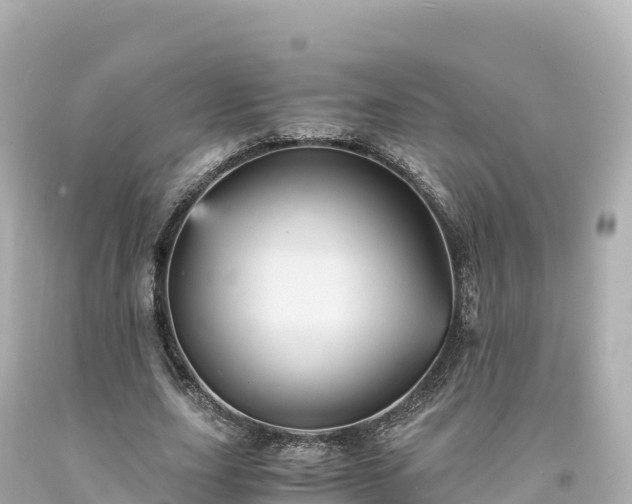 X0000094220631200711021140