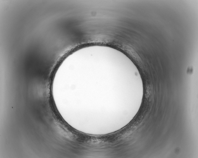 X0000094220632200711021140