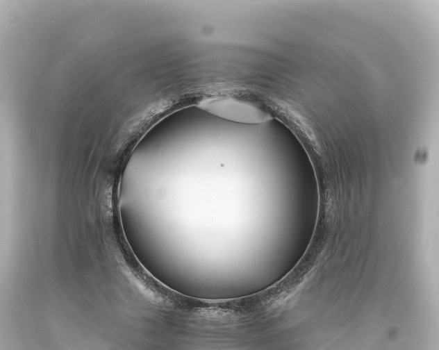 X0000094220633200711021140