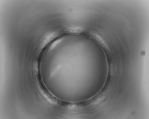 X0000094220634200711021140