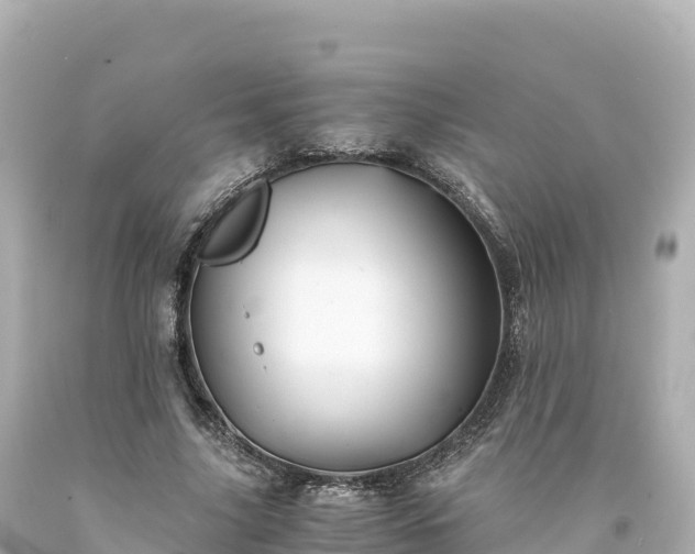 X0000094220635200711021140