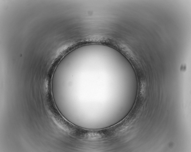 X0000094220636200711021140