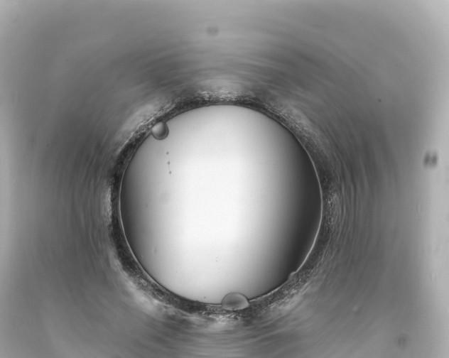 X0000094220638200711021140